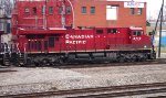 CP 8719